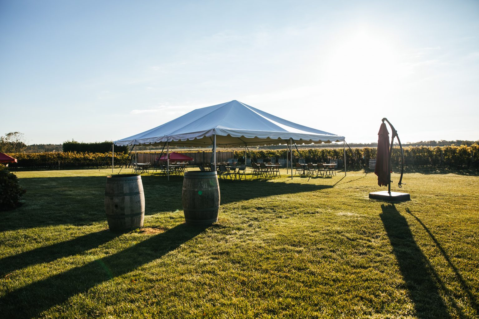 Clovis Point Vineyard & Winery Long Island Wine Country