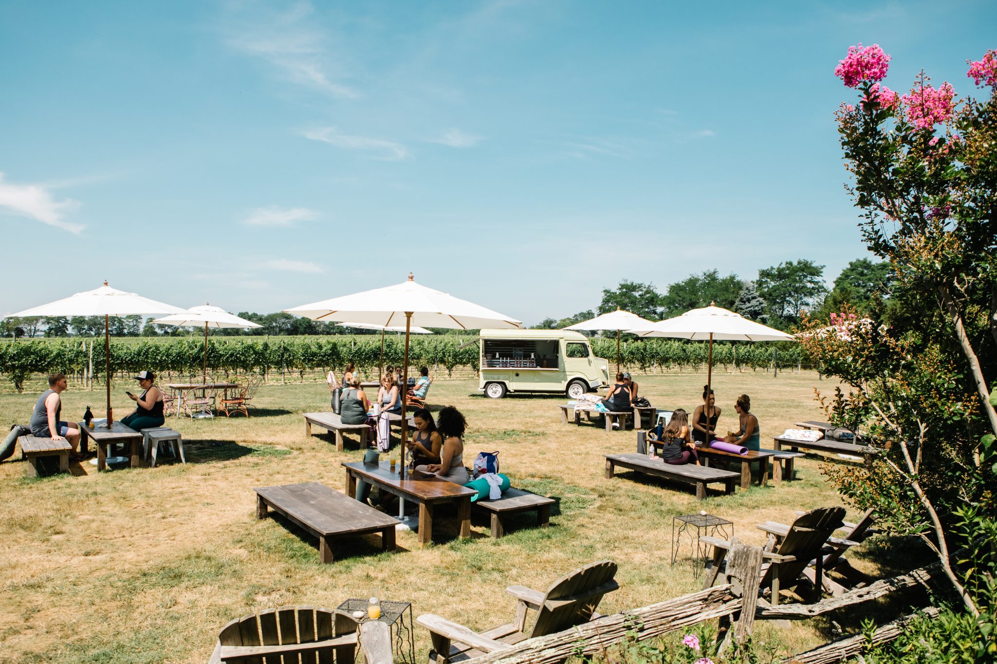 Croteaux Vineyards Long Island Wine Country