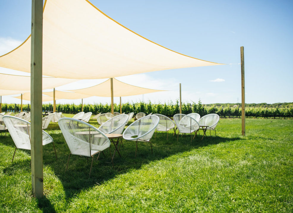 Autumnal Equinox Dinner In The Vines Long Island Wine Country