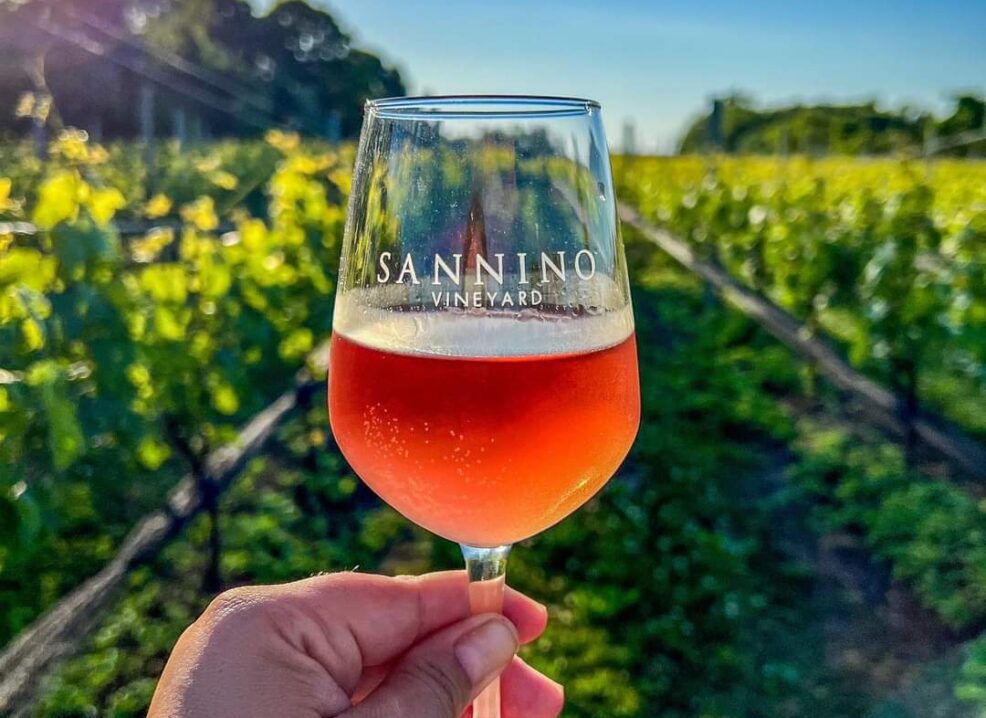 Join us Friday Nights for a Sunset Special at Sannino Vineyard – Long