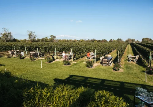 07_23_The_Best_Long_Island_Wineries_HERO_Christopher_Fenimore_1920x1280-1280x853