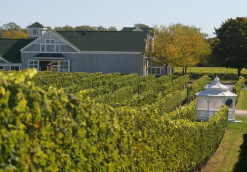 GettyImages-114425593