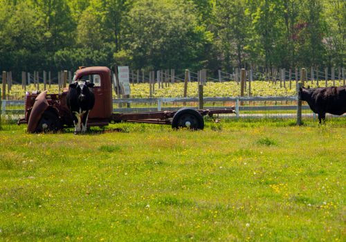 Hallock-MOConnor_2267