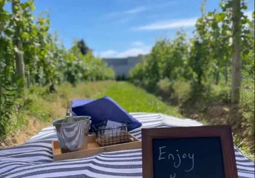 Peconic-Bay-Vineyard