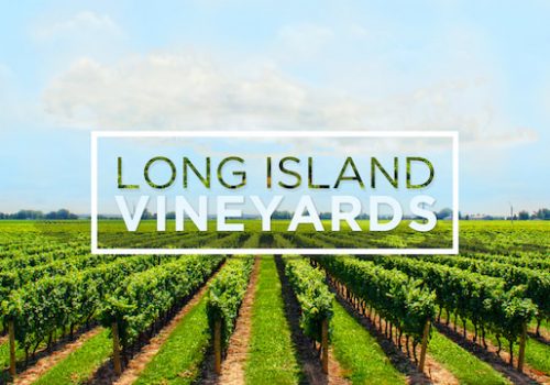 li-vineyards1_orig
