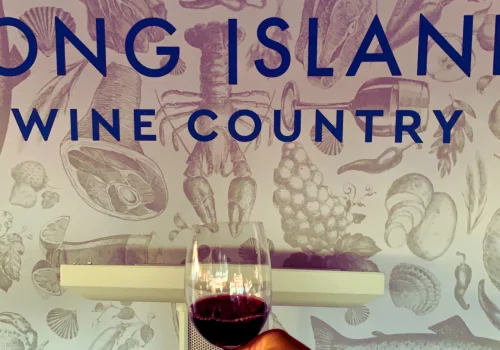 winedivaa-blog-banners-untitled-design-1440x810